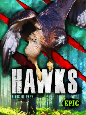 cover image of Hawks